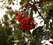 2018 09 30 NorthShore 036